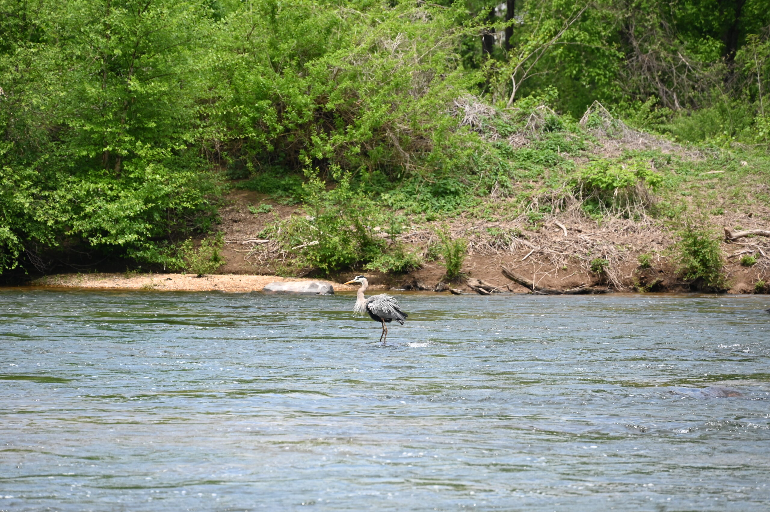 Roundtable Webinars Rappahannock River Roundtable